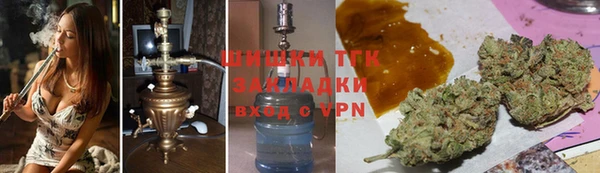 крисы Алексин