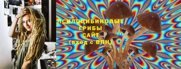 ПСИЛОЦИБИНОВЫЕ ГРИБЫ Алзамай