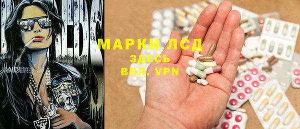 ПСИЛОЦИБИНОВЫЕ ГРИБЫ Алзамай